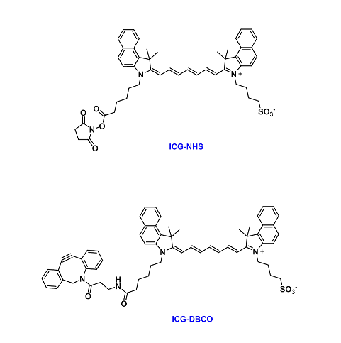 (Sulfo)ICG-dyes